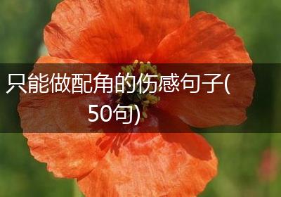只能做配角的伤感句子(50句)