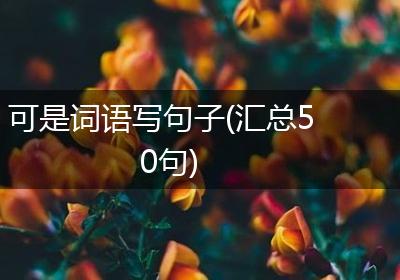 可是词语写句子(汇总50句)