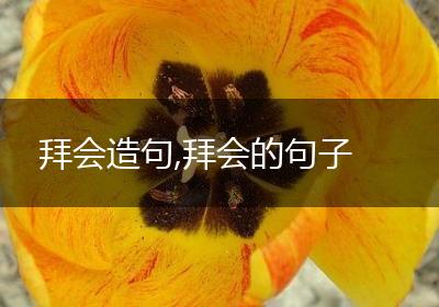 拜会造句,拜会的句子