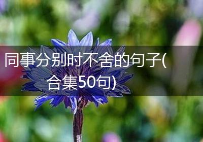 同事分别时不舍的句子(合集50句)