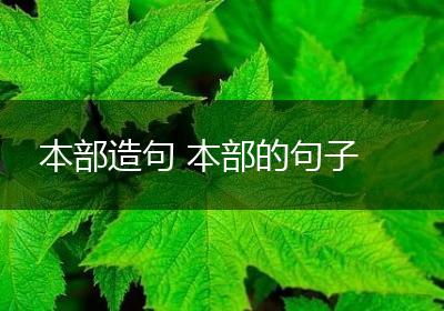 本部造句 本部的句子