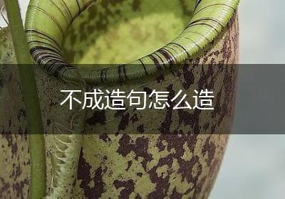 不成造句怎么造