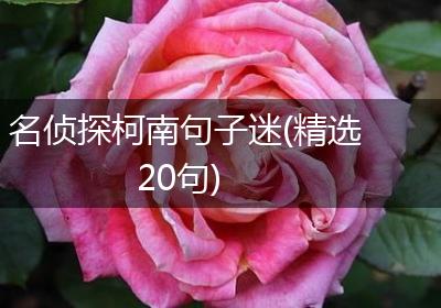 名侦探柯南句子迷(精选20句)