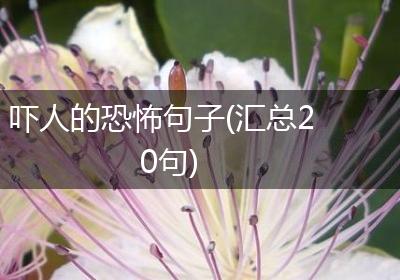 吓人的恐怖句子(汇总20句)