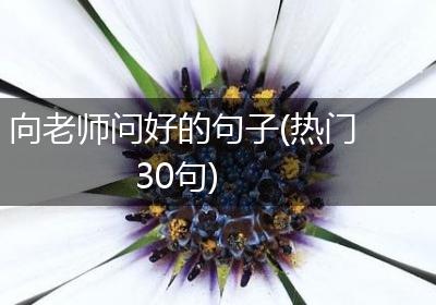 向老师问好的句子(热门30句)