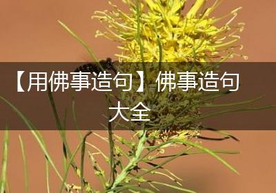 【用佛事造句】佛事造句大全