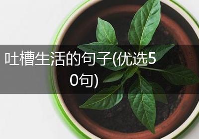 吐槽生活的句子(优选50句)