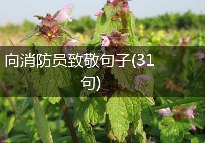 向消防员致敬句子(31句)