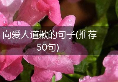 向爱人道歉的句子(推荐50句)
