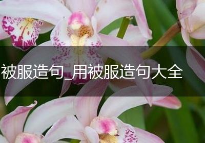 被服造句_用被服造句大全