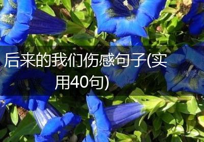 后来的我们伤感句子(实用40句)