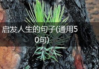启发人生的句子(通用50句)