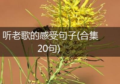 听老歌的感受句子(合集20句)