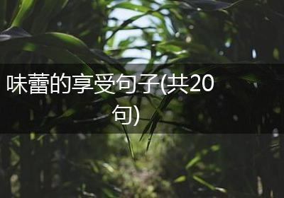 味蕾的享受句子(共20句)