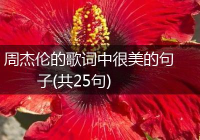 周杰伦的歌词中很美的句子(共25句)