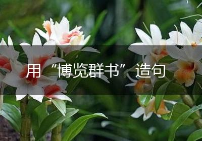 用“博览群书”造句