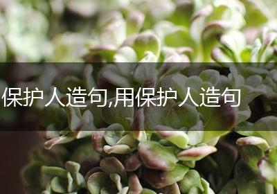 保护人造句,用保护人造句