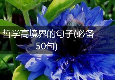 哲学高境界的句子(必备50句)
