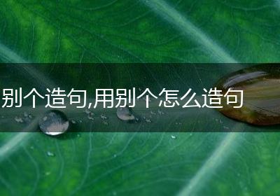 别个造句,用别个怎么造句