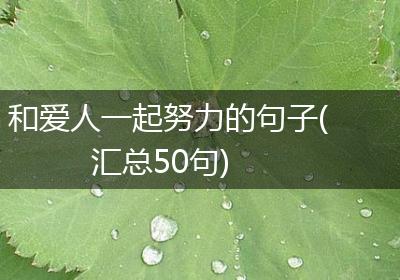 和爱人一起努力的句子(汇总50句)