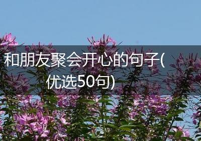 和朋友聚会开心的句子(优选50句)