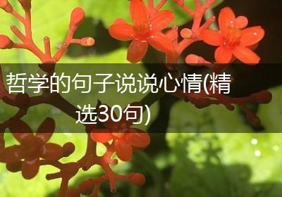 哲学的句子说说心情(精选30句)