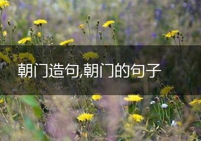 朝门造句,朝门的句子