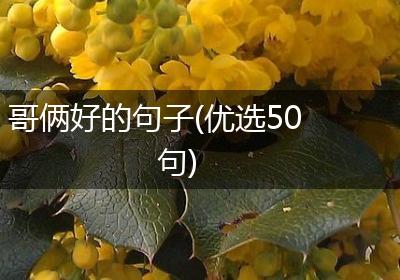 哥俩好的句子(优选50句)