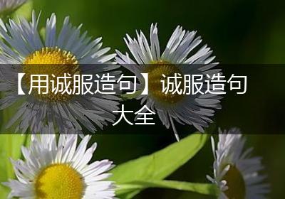 【用诚服造句】诚服造句大全