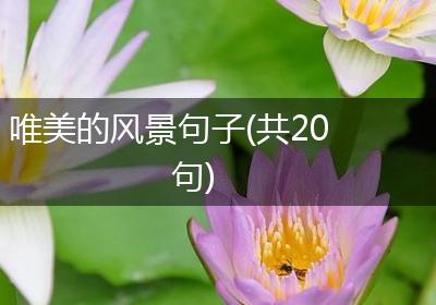 唯美的风景句子(共20句)