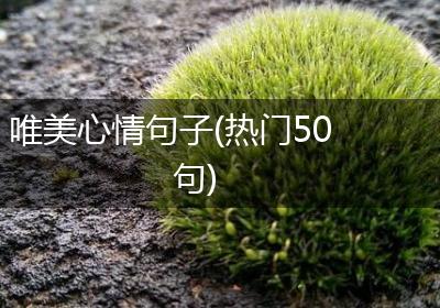 唯美心情句子(热门50句)