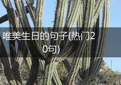 唯美生日的句子(热门20句)