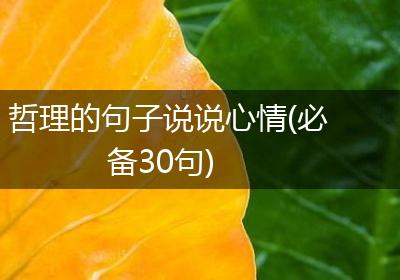 哲理的句子说说心情(必备30句)