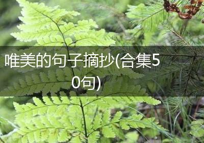 唯美的句子摘抄(合集50句)