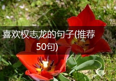 喜欢权志龙的句子(推荐50句)