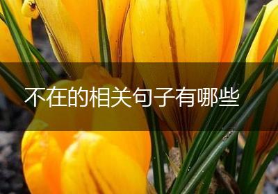 不在的相关句子有哪些