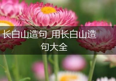 长白山造句_用长白山造句大全