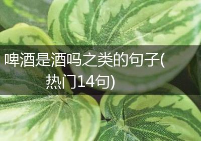 啤酒是酒吗之类的句子(热门14句)