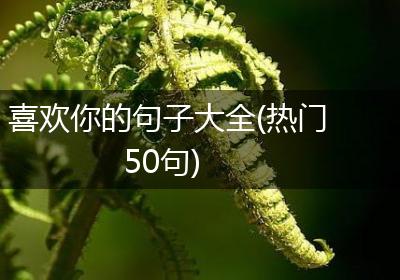 喜欢你的句子大全(热门50句)