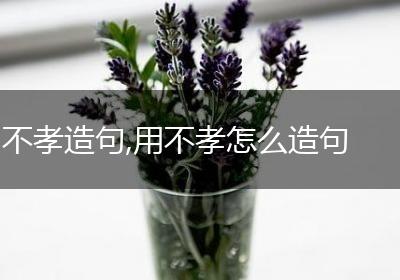 不孝造句,用不孝怎么造句