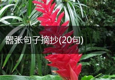 嚣张句子摘抄(20句)