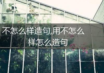 不怎么样造句,用不怎么样怎么造句