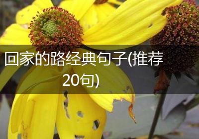 回家的路经典句子(推荐20句)