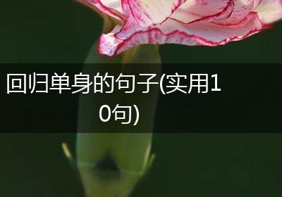回归单身的句子(实用10句)