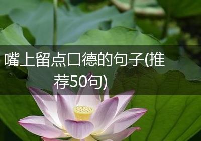 嘴上留点口德的句子(推荐50句)