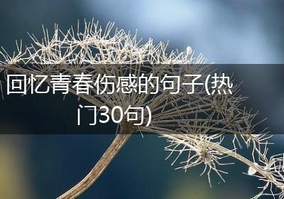 回忆青春伤感的句子(热门30句)