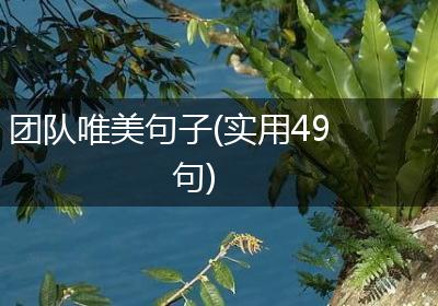 团队唯美句子(实用49句)