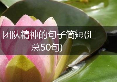 团队精神的句子简短(汇总50句)
