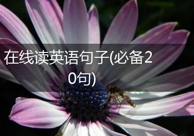 在线读英语句子(必备20句)