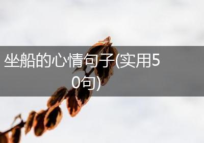 坐船的心情句子(实用50句)